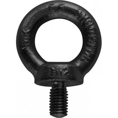 RIGGATEC EYE BOLT DIN 580 M8 BLACK