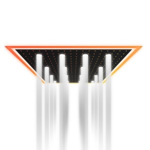Kinetic Light
